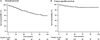 Long-Term Outcomes and Prognostic Factors of Superficial Esophageal Cancer in Patients Aged ≥ 65 Years